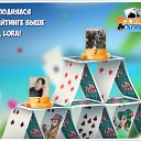���� ������, ������, 65 ��� - ��������� 25 ���� 2018 � ������ �������� �������-�������