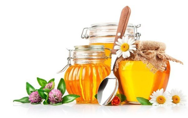 Мистические свойства меда.Про вкусовые, питательные, кулинарные, целебные свойства этого продукта ...