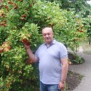  C, , 65  -  4  2018   .  - 