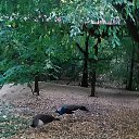 ���� ���������, ���������, 51 ��� - ��������� 1 ������ 2018 � ������ ���� ����������