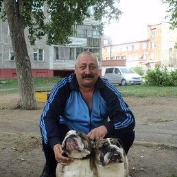 ������, ����, 62 ����