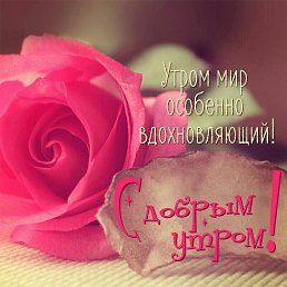 ���� �������, �����������, 55 ��� - ��������� 25 ������� 2019