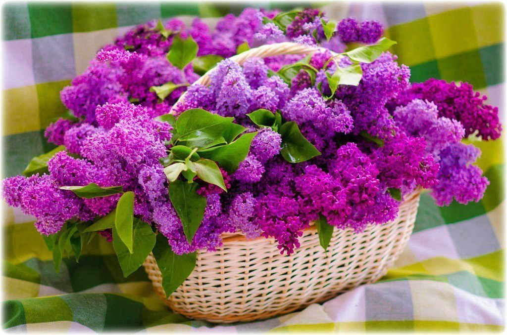 ����������� � ���������, �������� �� ������ ����. - 9 ������� 2019 � 18:01