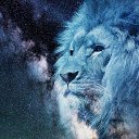 ���� Ms13, ����������� - ��������� 27 ������ 2019 � ������ ���� ����������