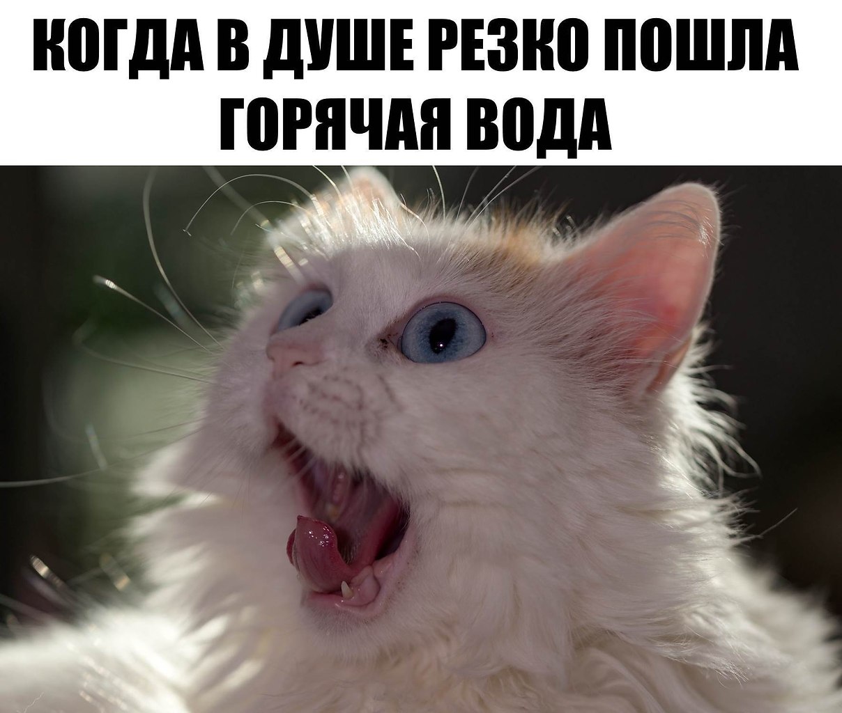    :D - 5  2019  16:38