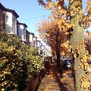  Dainius, , 51  -  22  2018   