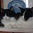 ���� ������, ��������, 69 ��� - ��������� 23 ����� 2019