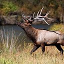  , -, 64  -  9  2019   - 