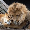 ���� Vladymyr, ������ - ��������� 23 ������� 2018 � ������ ������ ��������