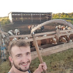 ��������, ������, 35 ���