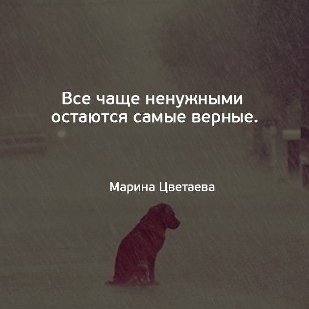 NikaTinka - 19  2018  22:53