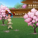 ���� �����, ������� - ��������� 24 ������� 2019 � ������ �Tropikania�