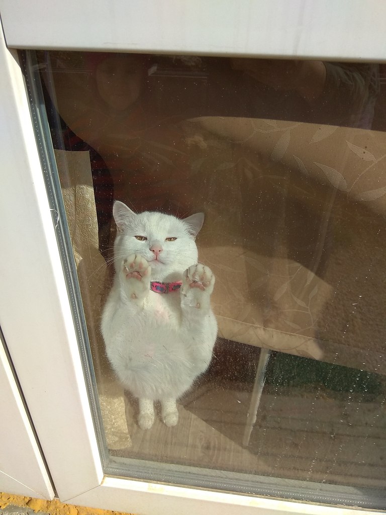 #_.              . ... - 3