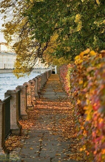  ).-  , - , - , -    ... - 5