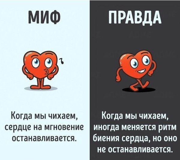 10    ,   .: ADME#@ican