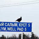  , , 57  -  17  2018   .  ,  ... )))