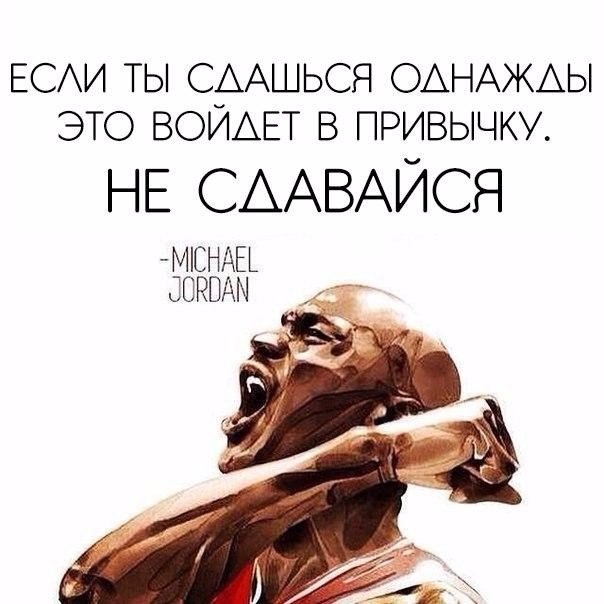 SportFeed - 2  2019  16:53