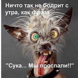 ���� ���, ��������, 46 ��� - ��������� 8 �������� 2018