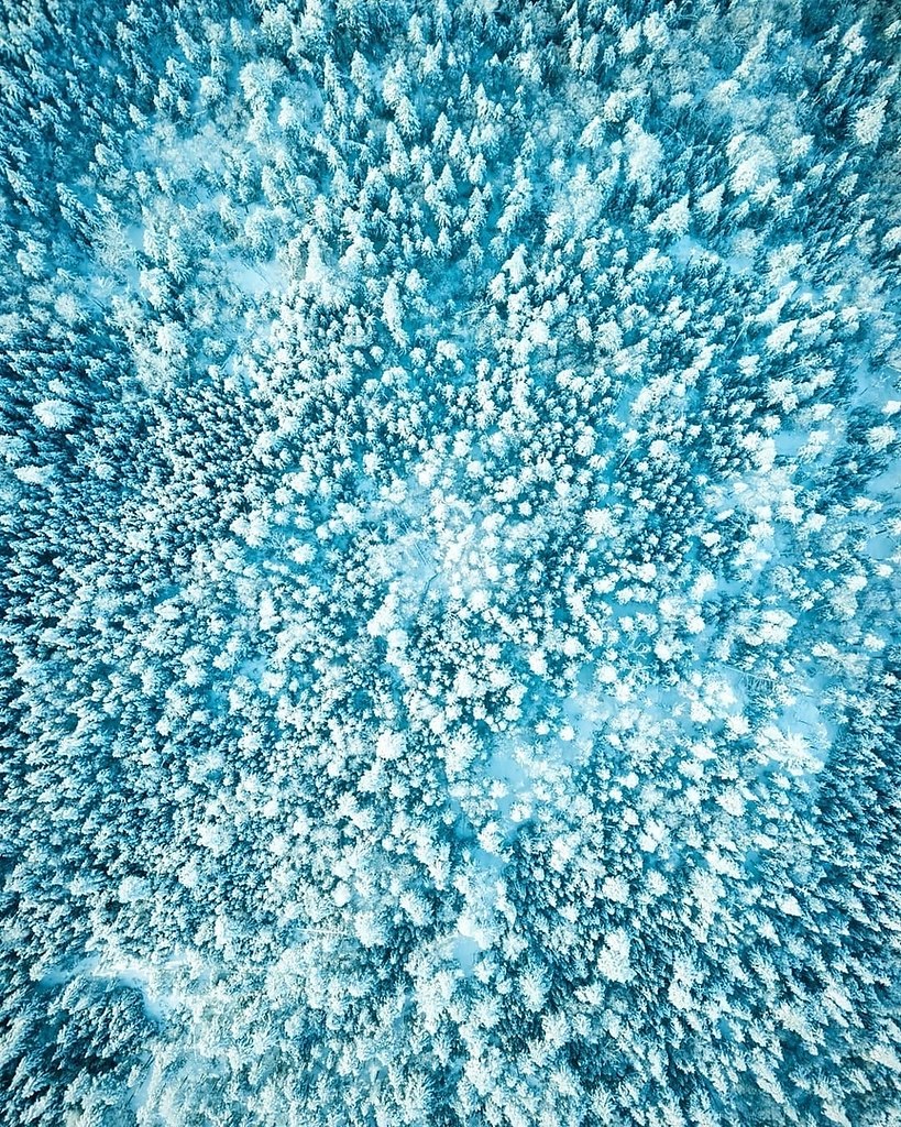       - 3