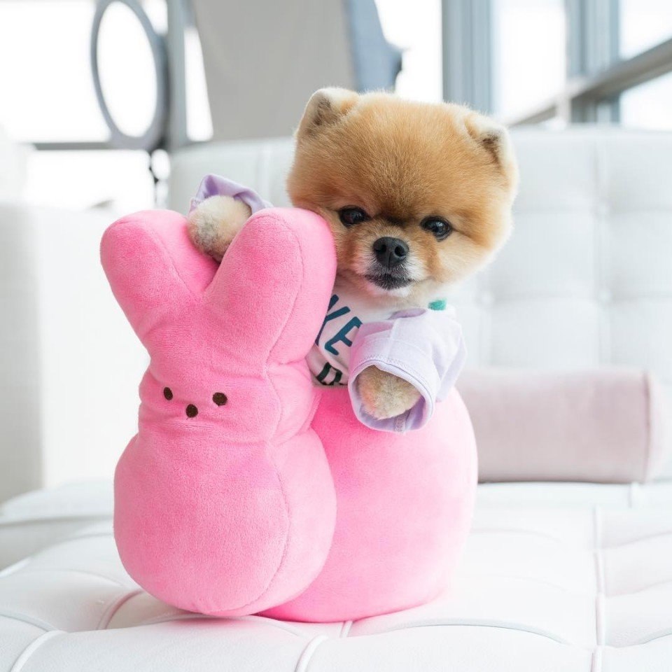   !  jiffpom - 2