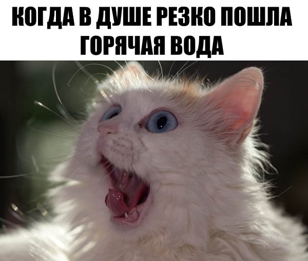    :D - 5  2019  16:38