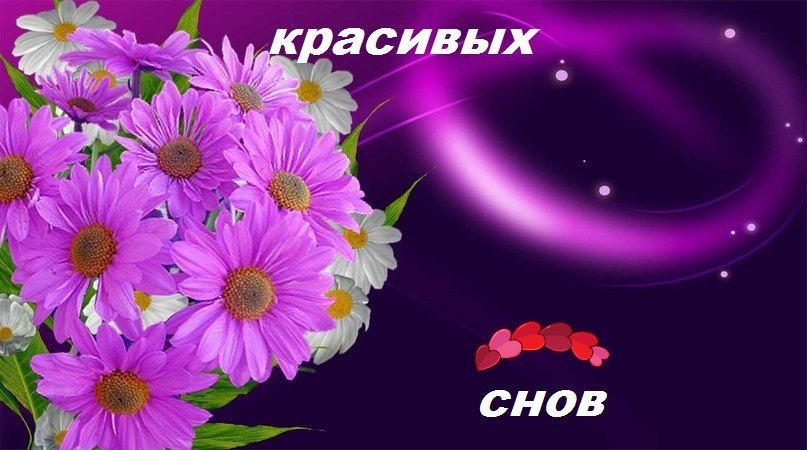   ,    . - 26  2019  21:14