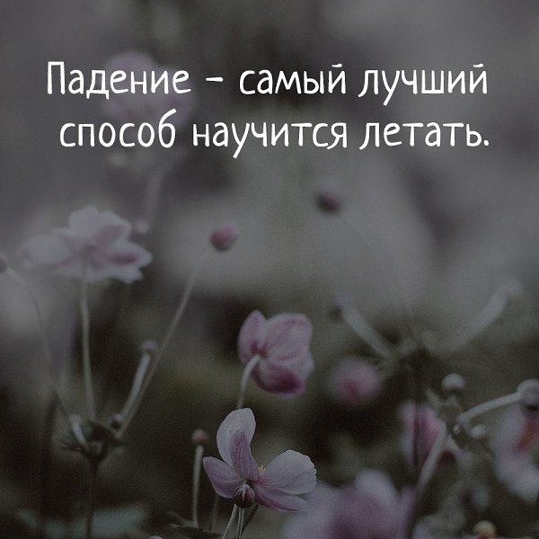  - 24  2018  16:21