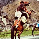 ���� S I R E L I S, ������� - ��������� 19 ������� 2018 � ������ ���� ����������