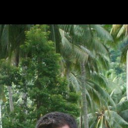 ����, �������, 40 ���