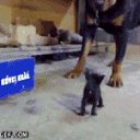 ���� No, ����, 22 ���� - ��������� 22 ������� 2018 � ������ ���� ����������
