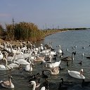 ���� Nata, ���� - ��������� 29 ����� 2019 � ������ ���� ����������