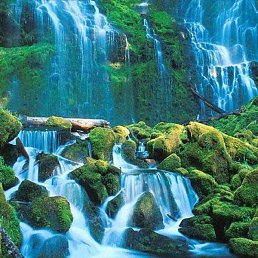 �������, ���������, 50 ���