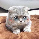 ���� ����, ����� - ��������� 9 �������� 2018 � ������ ���� ����������