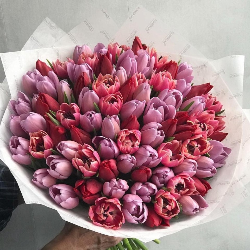  https://fotostrana.ru/away?to=/sl/39o2 labflower - 3