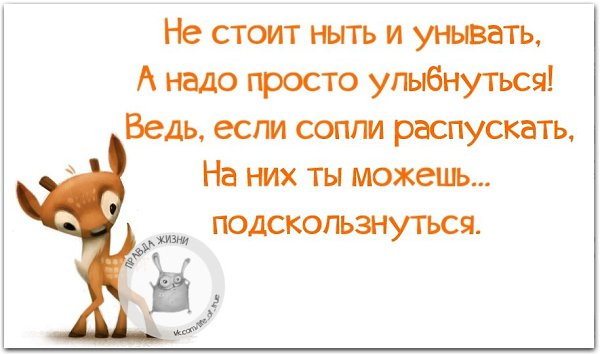   - 15  2018  16:41