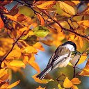 ���� �����, ���������, 59 ��� - ��������� 18 ������ 2018 � ������ ���� ����������