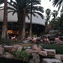 Las Vegas, Flamingo 2018    