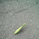 ���� �������, �������, 36 ��� - ��������� 6 �������� 2018 � ������ ������ ��������