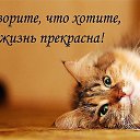  ,  -  28  2019    