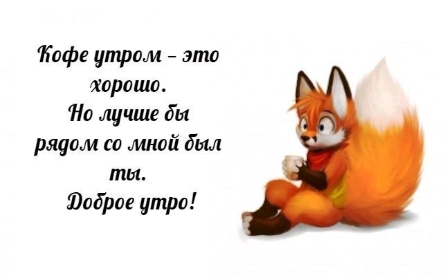  )