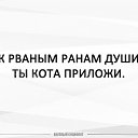 ���� ���, ������������ - ��������� 17 ������ 2018 � ������ ���� ����������