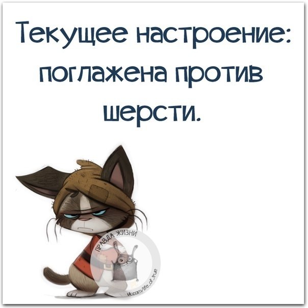   - 15  2018  16:41