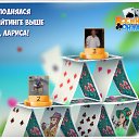  , , 54  -  6  2018    -