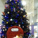���� Valery, ��������, 42 ���� - ��������� 20 ������ 2019 � ������ ���� ����������