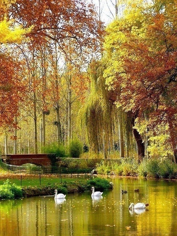 Уж небо осенью дышало...