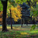 ���� ���������, �������, 66 ��� - ��������� 19 ������� 2018 � ������ ������ ��������