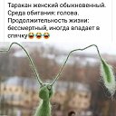  *Galina*, , 54  -  20  2019    