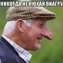 ���� ������, ������ - ��������� 2 ������� 2019 � ������ ���� ����������