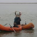 ���� �����, �������, 64 ���� - ��������� 6 ������� 2018 � ������ ��.���