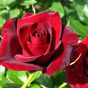 ��� ���������. ��� ������� ����!)) �� ������� ���� ������� �����